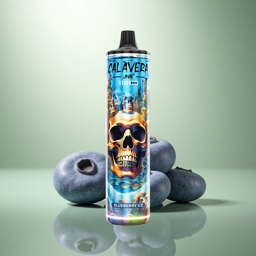 JNR Calavera 11000 Blauwe Bessen IJs met Type-C en 850 mAh