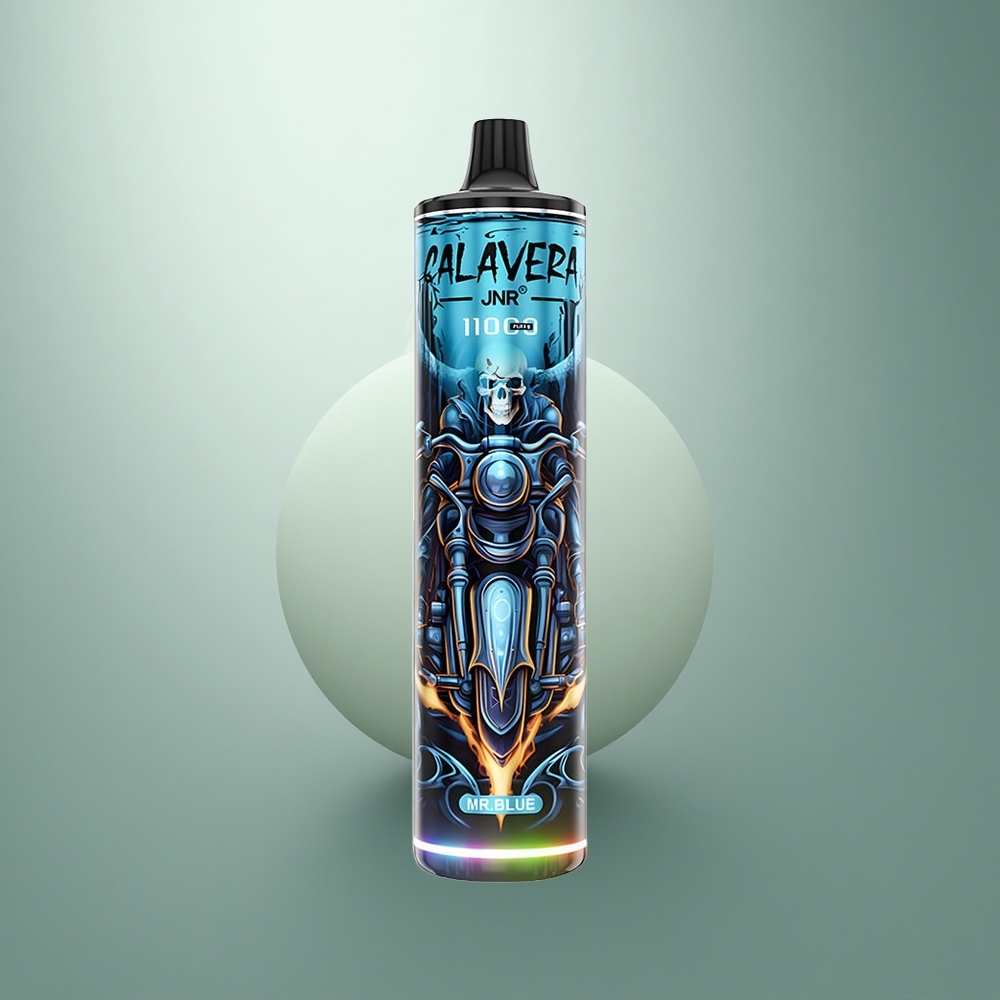 JNR Calavera 11000 Meneer Blauw Type-C 850mAh 21ml