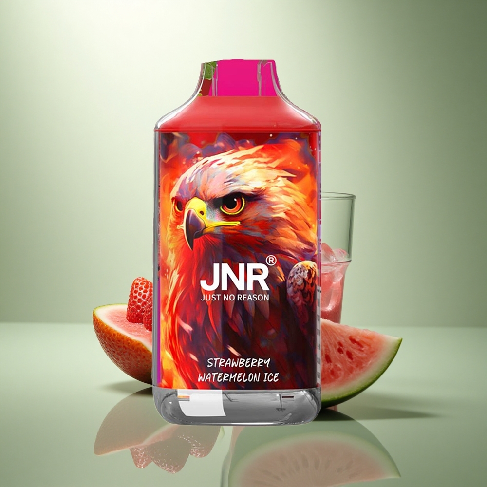 JNR Falcon 16000 Aardbei Watermeloen IJs 850mAh Dual Mesh 22ml