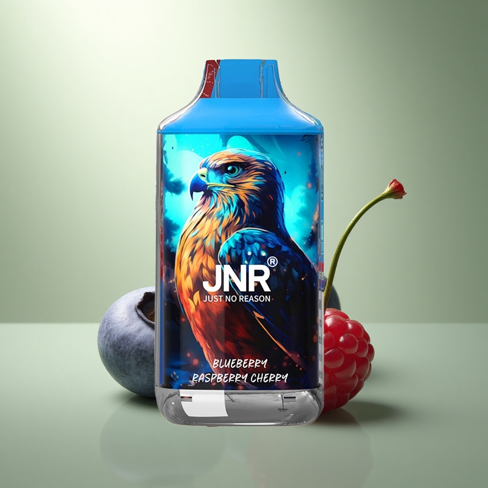 JNR Falcon 16000 Blauwe Bes Framboos Kers 850 mAh 22ml Dual Mesh