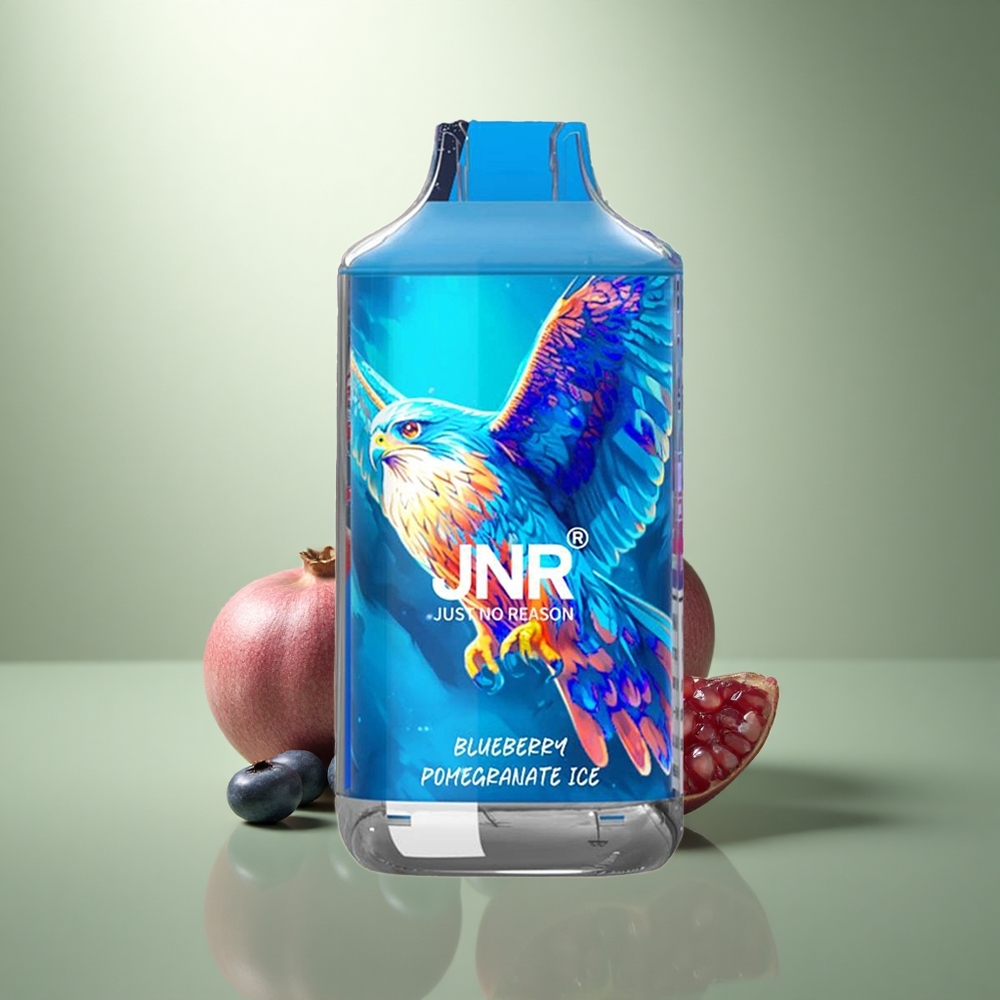JNR Falcon 16000 Blauwe Bes Granaatappel IJs met Dual Mesh Coil en Smart LED Display