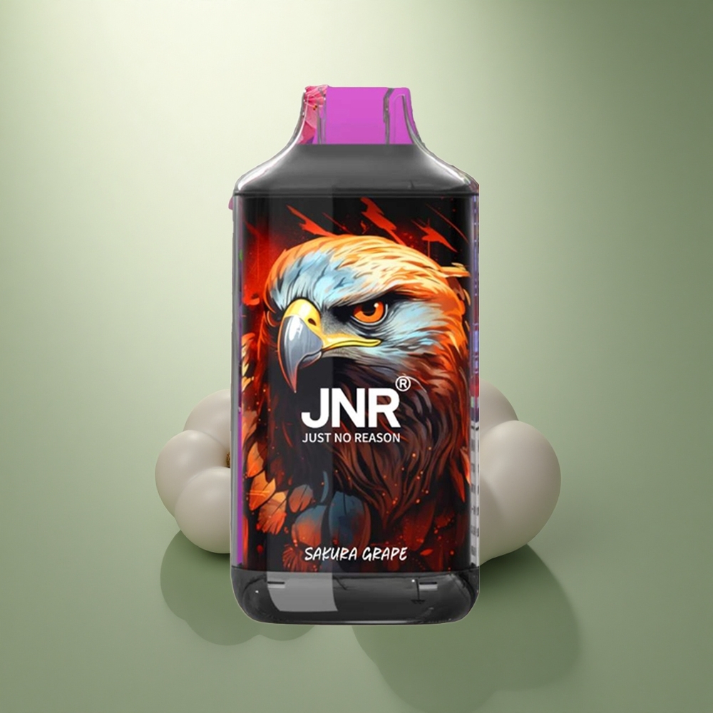 JNR Falcon 16000 Kersen Druif 16000 850mAh Type C LED