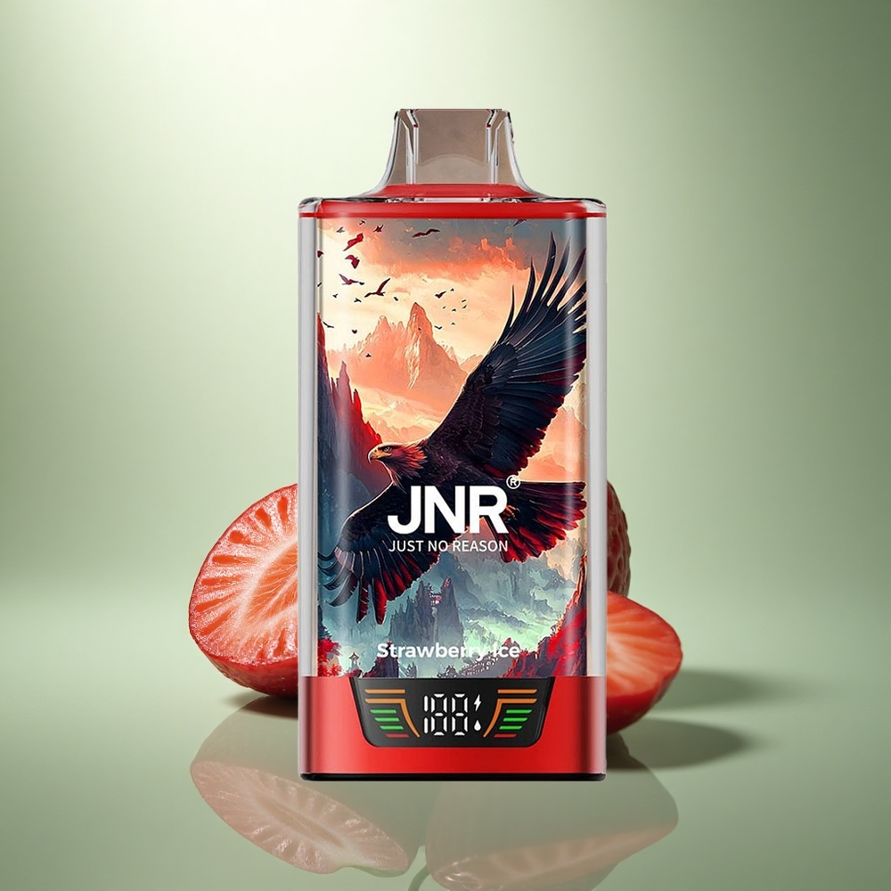 JNR Falcon Pro 28000 Aardbei IJs Dual Mesh Coil Smart Display USB-C
