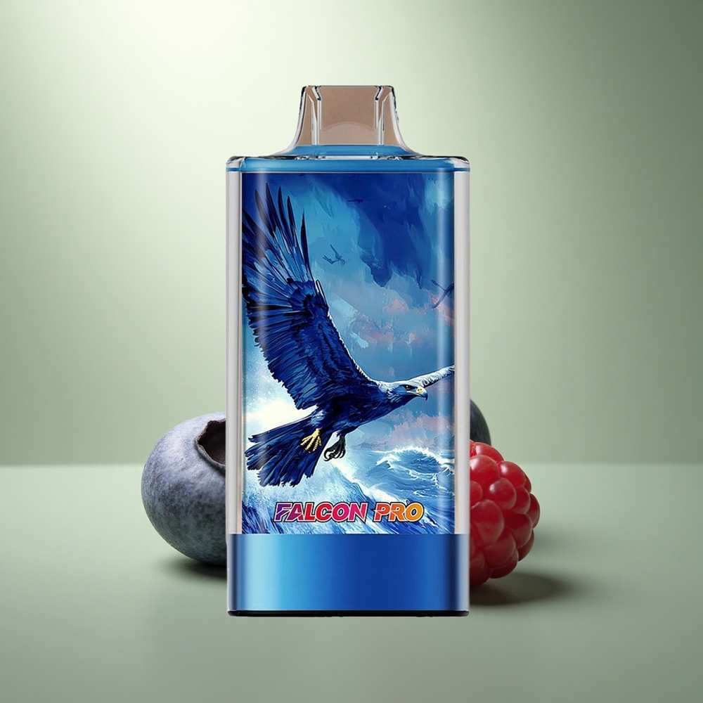 JNR Falcon Pro 28000 Bosbes Zure Framboos 30ml 950mAh Dual Mesh