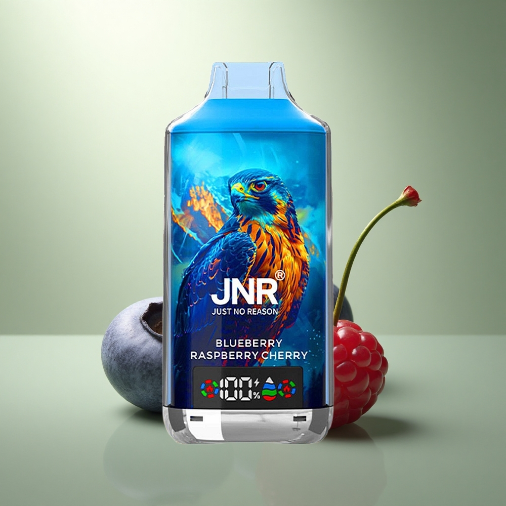 JNR Falcon X 18000 Blauwe Bes Framboos Kers 750mAh Type-C Dual Mesh