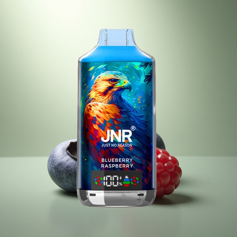 JNR Falcon X 18000 Blauwe Framboos 24ml Dual Mesh Digital Type-C