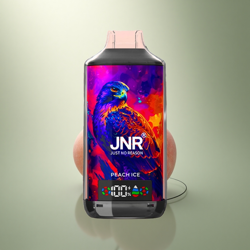 JNR Falcon X 18000 Perzijs IJs 750mAh Dual Mesh