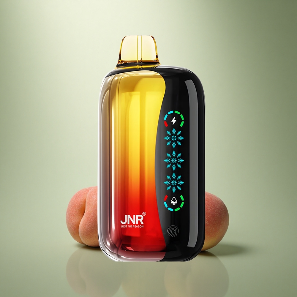 JNR Flex Ice 21000 Perzik Mango Ananas IJs Aanpasbare Luchtstroom 26ml