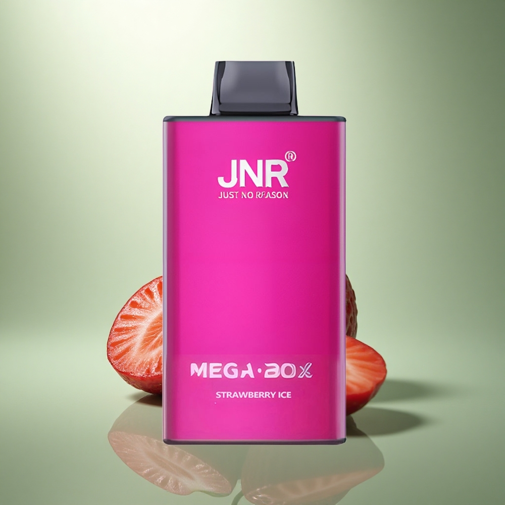 JNR Mega Box 25000 Aardbei IJs Dual Mesh & Type-C