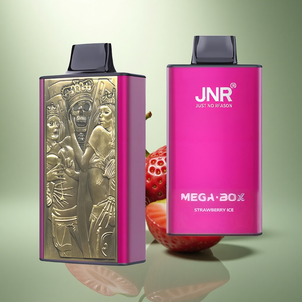 JNR Mega Box 25000 Aardbei IJs Dual Mesh & Type-C