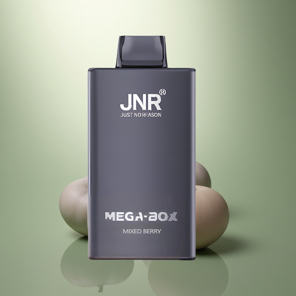 JNR Mega Box 25000 Gemengde Bes Dual Mesh & Type-C