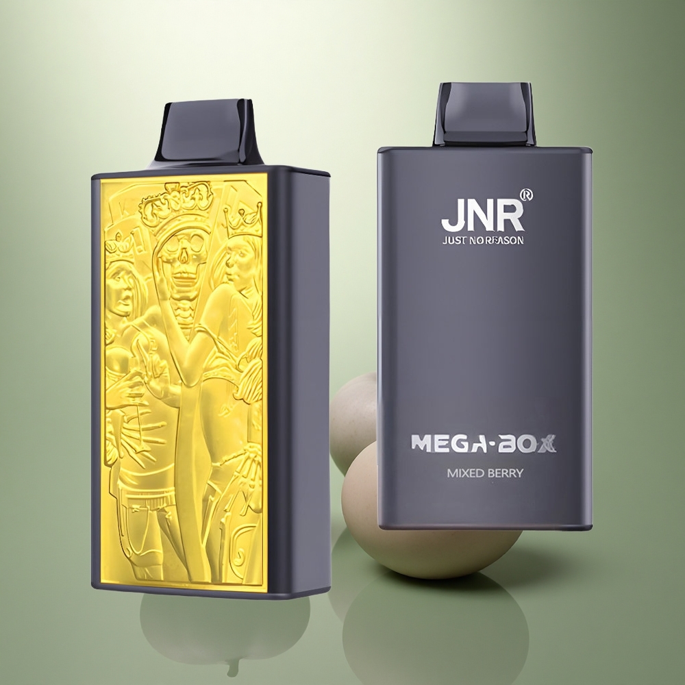 JNR Mega Box 25000 Gemengde Bes Dual Mesh & Type-C