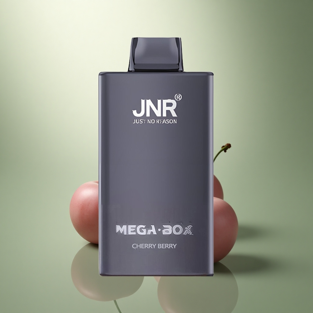 JNR Mega Box 25000 Kersbes Dual Mesh & Type-C
