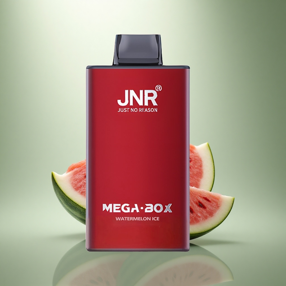 JNR Mega Box 25000 Watermeloen IJs Dual Mesh & Type-C
