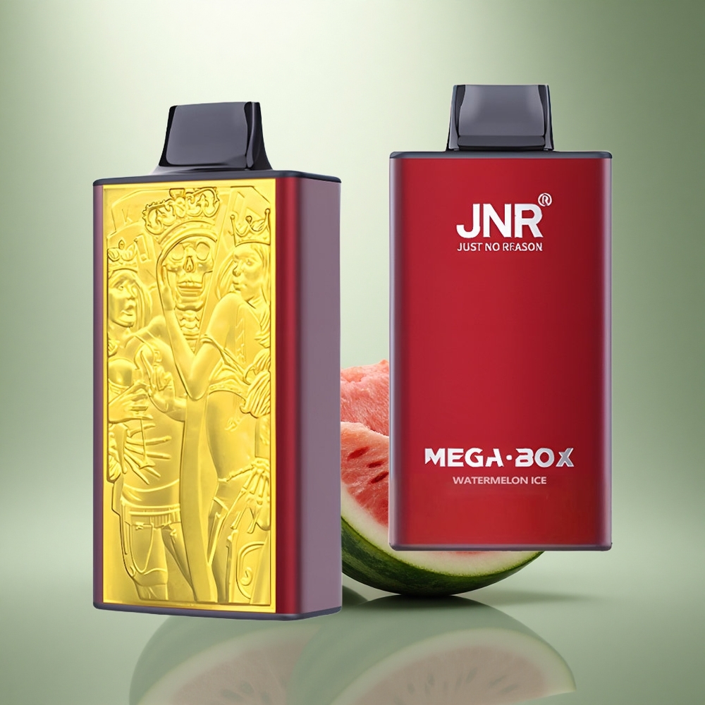 JNR Mega Box 25000 Watermeloen IJs Dual Mesh & Type-C
