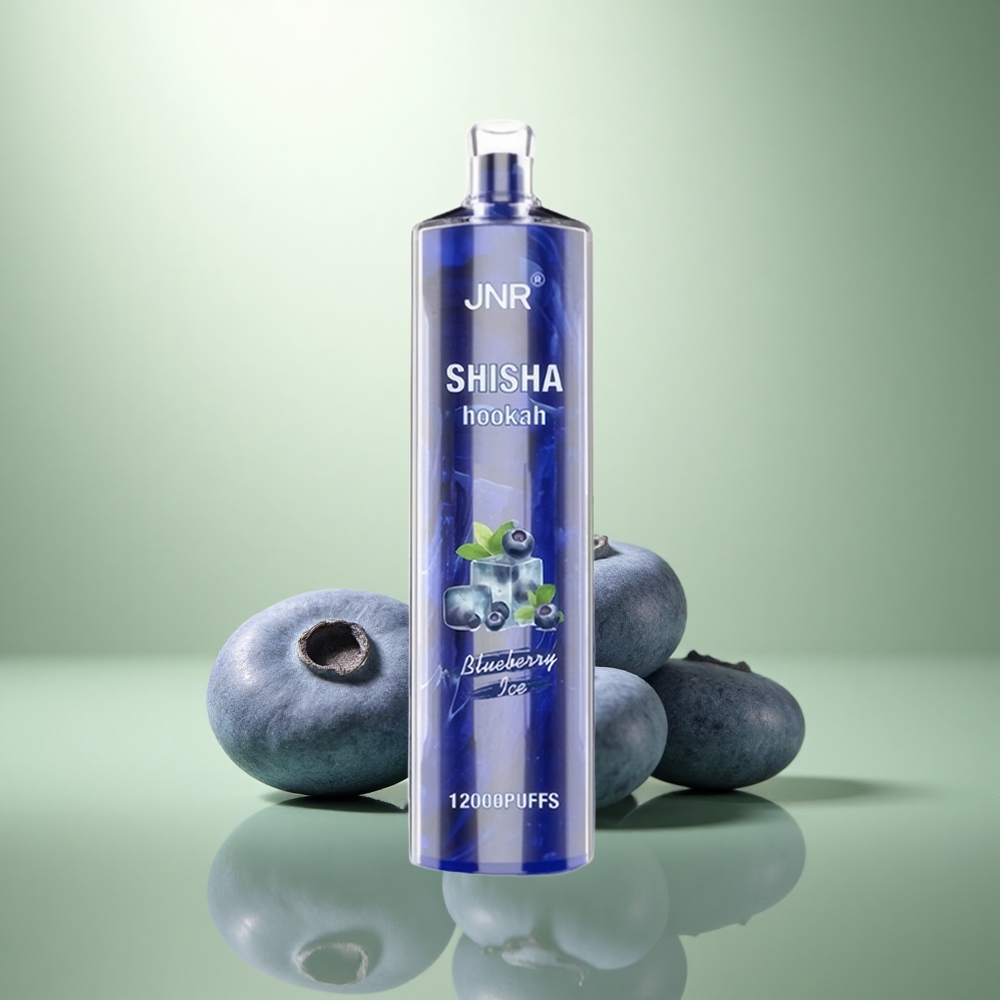 JNR Shisha Hookah 12000 Blauwe Bes IJs 24ml Mesh