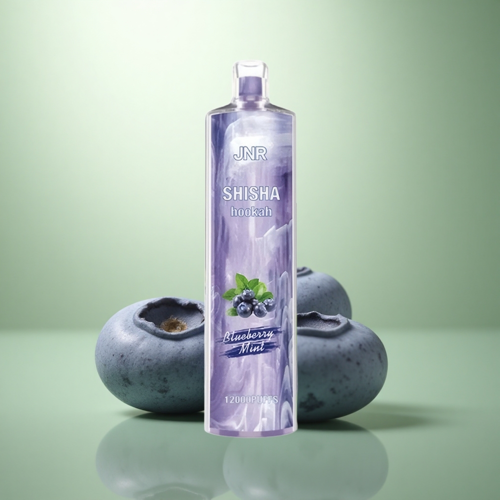 JNR Shisha Hookah 12000 Blauwe Bes Munt 24ml Type-C