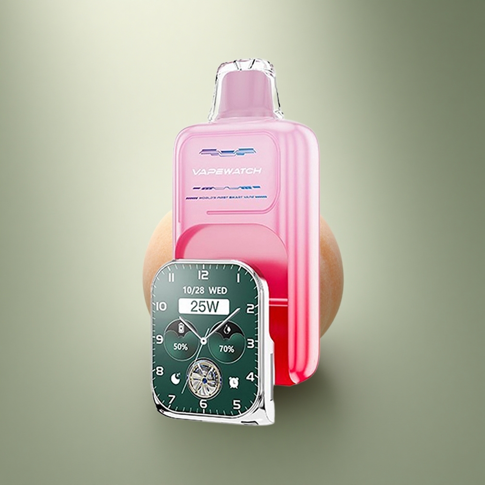 JNR VapeWatch 30000 Perzik van Georgia 1000mAh Dual Mesh 19mL Type-C