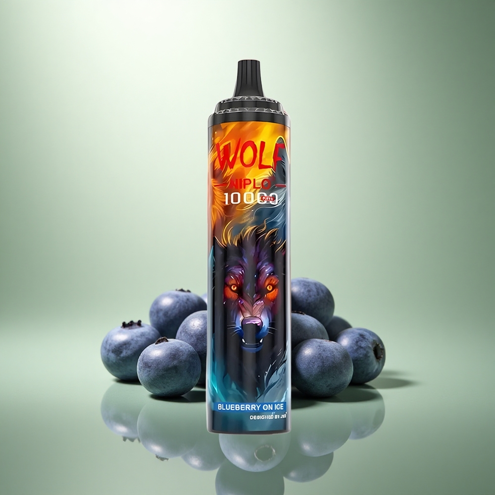 JNR Wolf Niplo 10000 Blauwe Bes Op IJs Met 20ml & Type-C