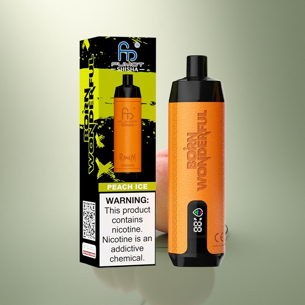RandM Fumot Shisha 10000 Puffs Perzijs IJs Type-C 18ml Mesh