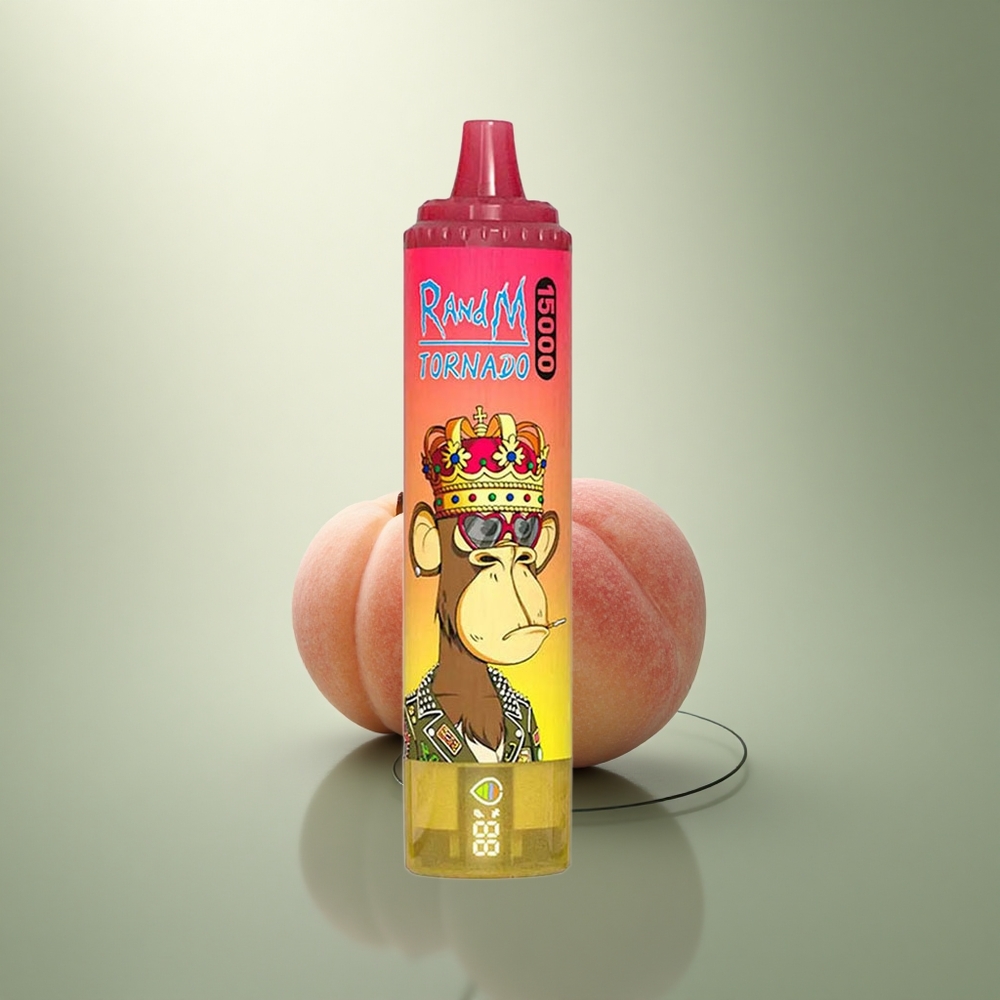 RandM Fumot Tornado 15000 Puffs Perzijs IJs Type-C 25ml Mesh