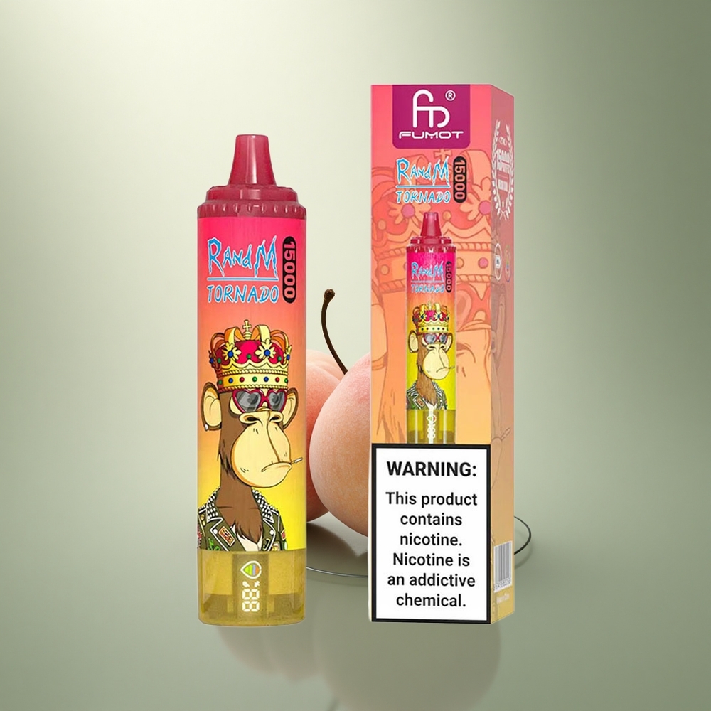 RandM Fumot Tornado 15000 Puffs Perzijs IJs Type-C 25ml Mesh